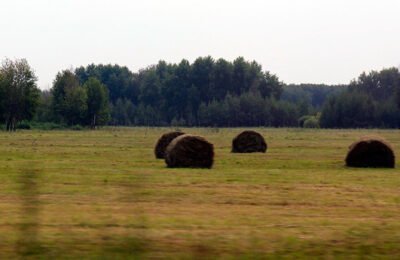 Продолжаются сезонные работы в  сельскохозяйственных предприятиях Убинского района