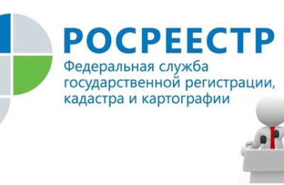 Консультации для граждан проведут специалисты Росреестра в Новосибирске
