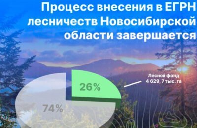 Процесс внесения в ЕГРН лесничеств Новосибирской области завершается