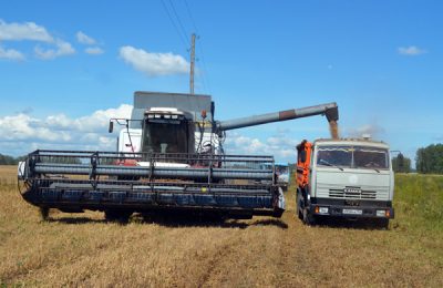 Убинские аграрии убрали больше половины урожая