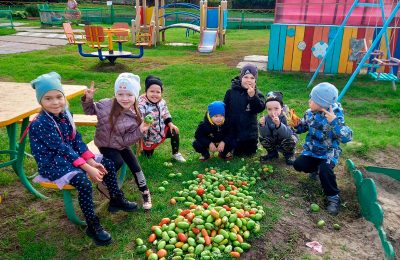 Малыши детского сада “Родничок” из села Круглоозёрное поделились фотографиями своего урожая