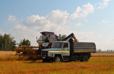 Урожай убинских аграриев будет лежать в закромах