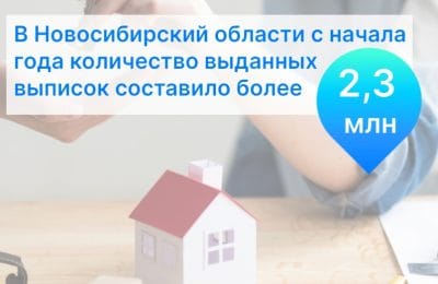 В Новосибирской области с начала года выдано более двух миллионов выписок из ЕГРН