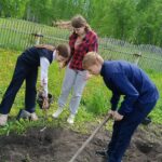 Борисоглебские выпускники продолжают пополнять аллею памяти