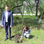 «Сад памяти» в Убинском пополнился новыми саженцами