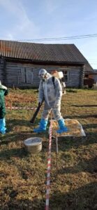 Ветеринары научились ликвидировать очаги Сибирской язвы