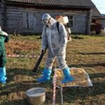 Ветеринары научились ликвидировать очаги Сибирской язвы