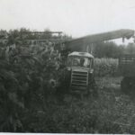 100 лет району. История Новодубровского сельсовета