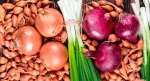 Домашний огород: выращиваем ароматную зелень к Новому году