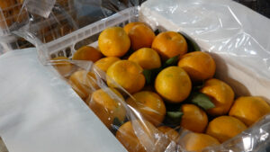 Как безопасно выбрать цитрусовые
