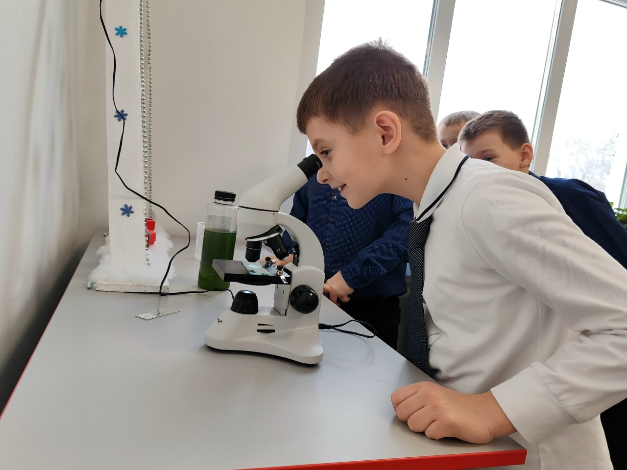 Борисоглебские школьники погрузились в науку