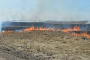 С 25 апреля в Убинском округе установят особый противопожарный режим