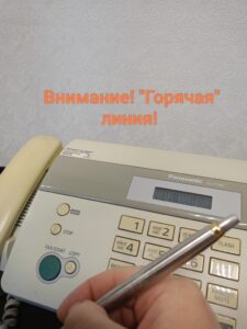 Горячая линия по вопросам профилактики земельных нарушений