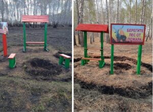 В лесах Убинского округа оборудовали зоны отдыха для туристов и грибников