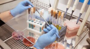 Чем опасны эндокринные разрушители для жителей Убинского округа