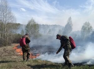 В Новосибирской области усилен мониторинг пожароопасной обстановки