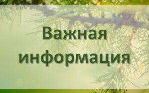 О проведении биотехнических мероприятий в общедоступных охотничьих угодьях Новосибирской области
