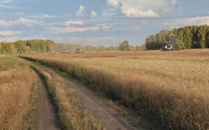 Уборочная кампания в Новосибирской области идёт с опережением графика