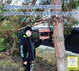 Убинские дети позаботились о пернатых